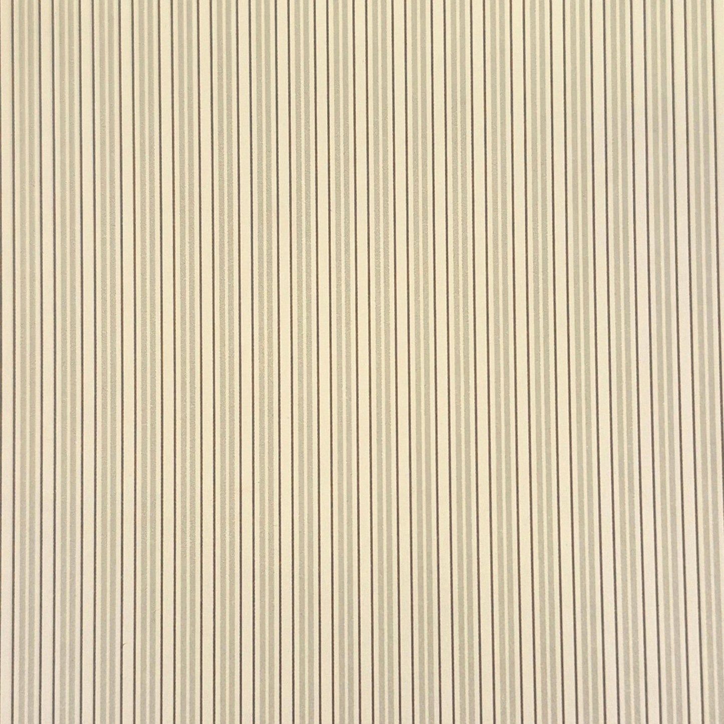 Brodnax Prints "The Gathering Stripe - White" Wallpaper