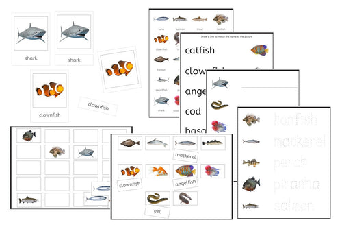Fishes Exercise Set (PDF)