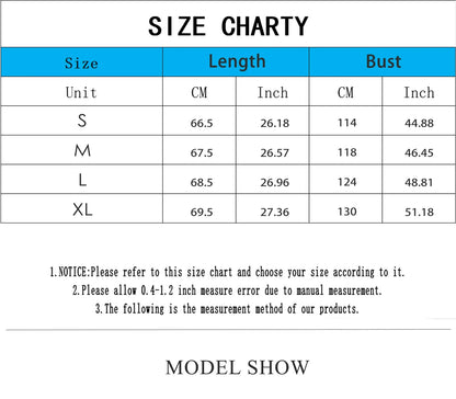 2025 Early Autumn New Arrival Women's Oversized Youthful Design Patchwork Blue Striped Shirt Fashion