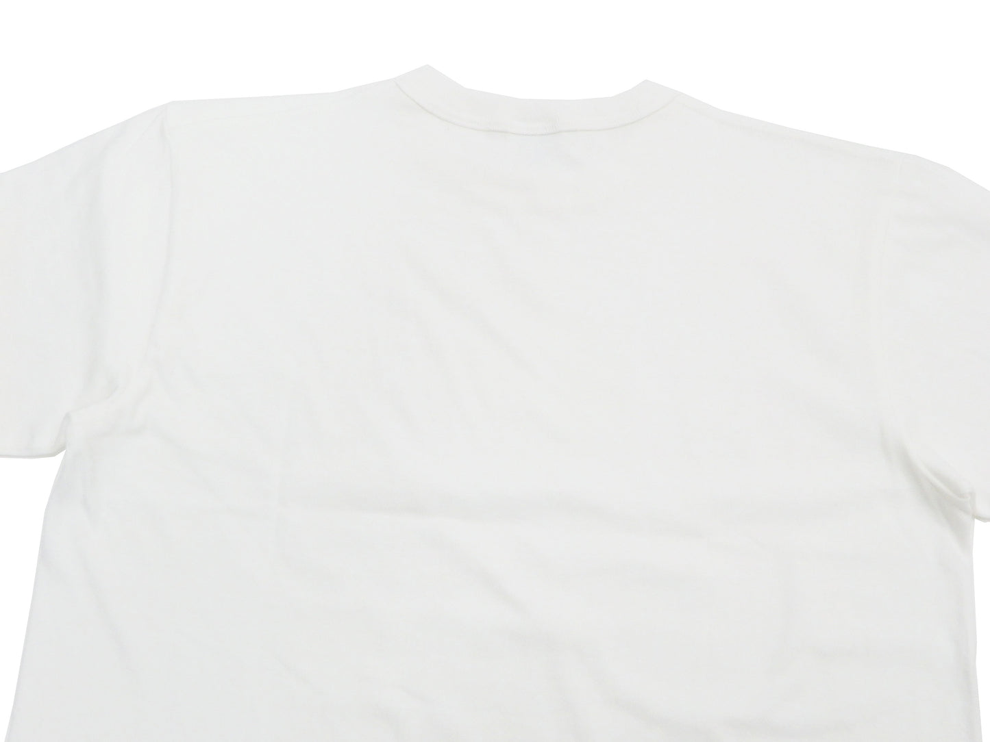 Buzz Rickson T-shirt Men's Plain T shirt Short Sleeve Loopwheel Tee BR78960 101 White