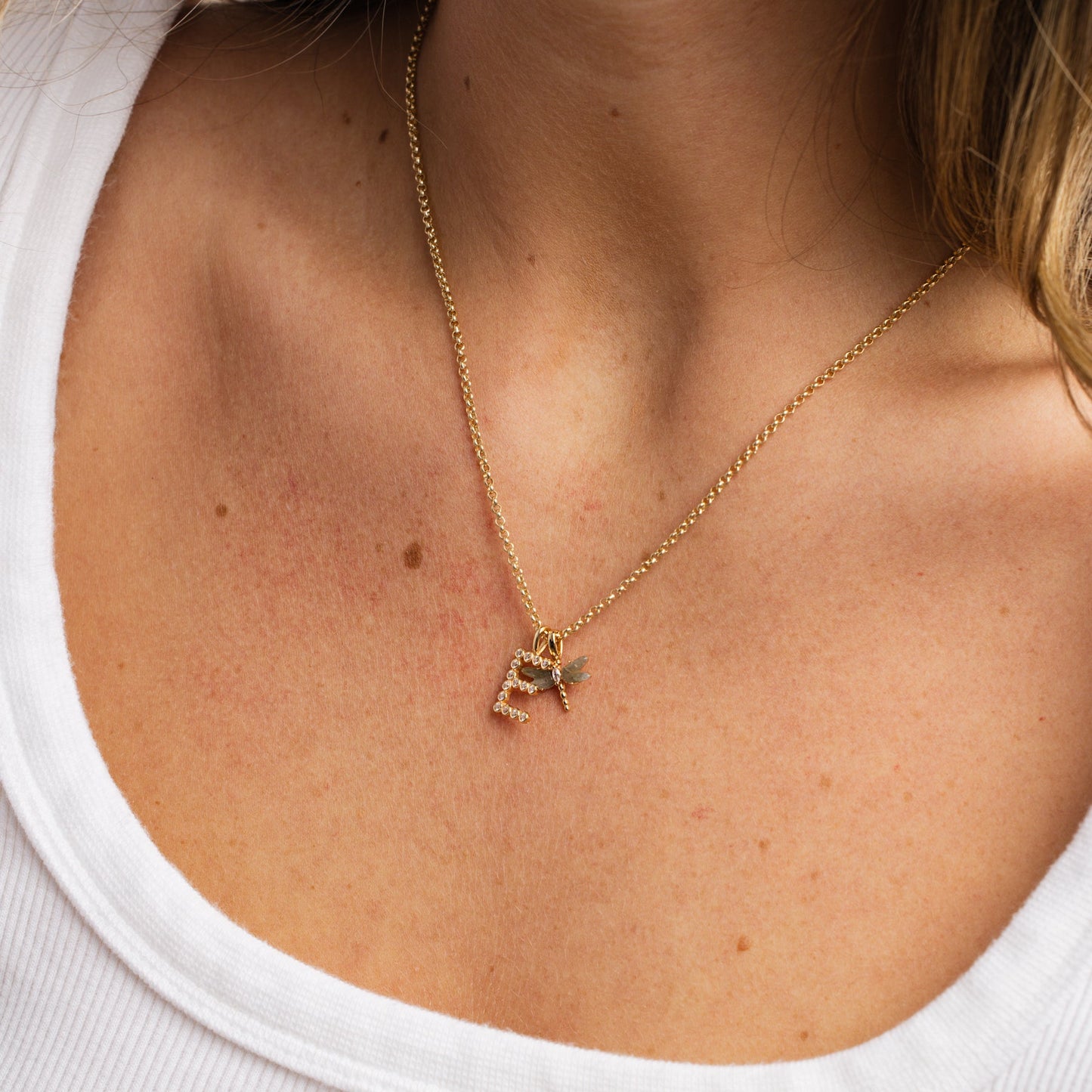 CZ Poppy Initial B Charm