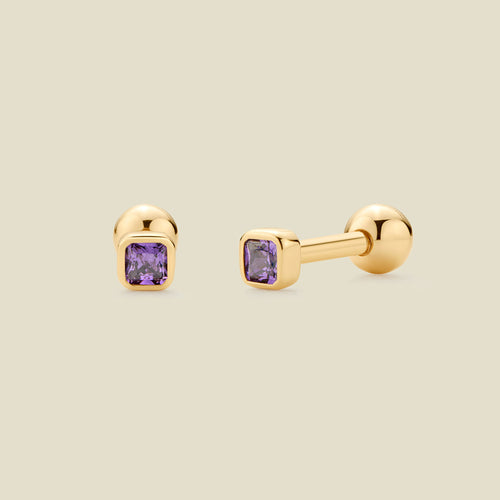 February Birthstone Stud Earrings | Final Sale